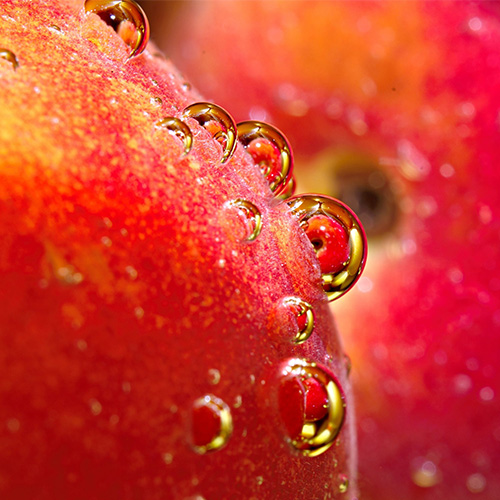 PhytoCellTec® Malus Domestica